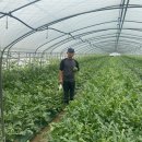 계백농장 이미지