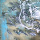 해빈농장 이미지