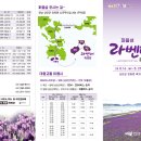 퍼플존