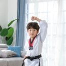 손 태권도 이미지