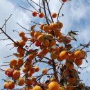 서울자동차정비 이미지