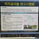 서광리-22 네이버블로그