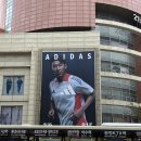 코코 스타디움 | 블루 블루 블루