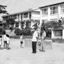 진도초등학교 이미지