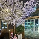 달빛경성술집 | 의정부 민락2지구 이자카야중에 단연1등 달빛경성술집 후기