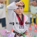 금빛태권도장 | 태권도 학원 1년 다닌 7세 아들의 변화, 태권도가 아이에게 좋은 이유