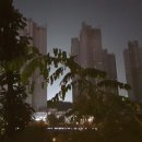 신대호수 휴게마당 네이버블로그