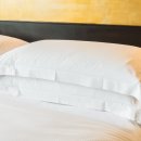 청암행정사사무소 이미지