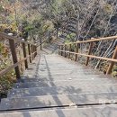 내장산국립공원 백암사무소 이미지