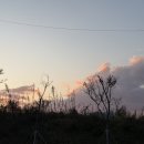 백촌목장 이미지