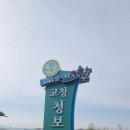 고창 학원농장 청보리.유채꽃 ( 22.04.16 ) 1 이미지