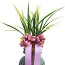 사천시농협장례식장 이미지