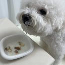 주식회사 장금이 농업회사법인 이미지