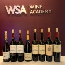 [와인일기] CU BAR x WSA 시음회 까테나 (Catena) 와이너리 시음회 후기