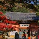 마호네펜션 | 고창여행코스 &#34;선운사&#34; 단풍구경후기