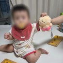 아리3 | 아기 턱받이 3종 비교(코니 턱받이, 아리코베베 테리빕, 피넛포레스트 빕) 내돈내산후기