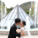 카페;꽃섬 | [본식스냅]꽃섬스냅 - 서울대 연구공원 본식스냅 내돈내산 진행 후기