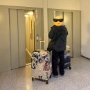 오로라호텔 | 아이슬란드 공항 바로 옆 오로라호텔 숙박 후기 (케플라비크 공항 5분 거리!)