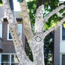 나무 조형물 이미지