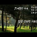 밀양 산외면 기회송림 이미지