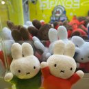 캐칭덕 오락실 이미지