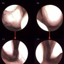 성모사랑이비인후과의원 이미지