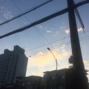 내일비안와요 이미지