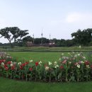 애코랜드 이미지