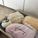 연세슬기병원 | [입원로그 ep1] 슬기로운 입원생활꒰⍢꒱ / 슬개대퇴인대재건술 후기 / 강북연세병원