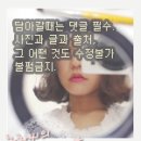 리버티더스트 이미지