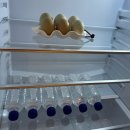 스테이솔올 이미지