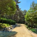 연산동고분군 이미지