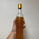 [쏠쏠한 요리 이야기] 푸드 스타일링의 이해 | 아직도 1년차인 뉴비 공보의의 근황올림픽