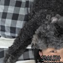 지에스25 학익으뜸 | 𝗺𝘆 𝗳𝗮𝘃𝗼𝗿𝗶𝘁𝗲.𝘇𝗶𝗽 🍂🎂