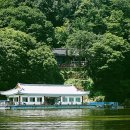 다음 주 가요무대에 등장하는 ＜ 꿈꾸는 백마강 ＞에 얽힌 이야기 이미지