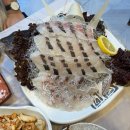 도매상회 | 부산 남포동 자갈치 횟집, 양씨상회도매횟집(참돔유비끼 코스 후기)