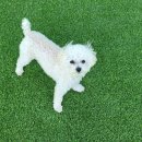 개편한 스쿨 이미지