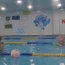 네오키즈스윔 이미지