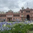 로사약국 이미지