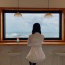 36.오도B
