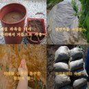 실원농장 네이버블로그