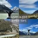 밸리MT | 뉴질랜드 여행기 Ⅵ (뉴질랜드 마운트쿡 후커밸리 트래킹 가는법, 소요시간, 준비물 후기)