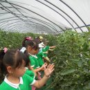 비사벌농장 이미지