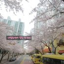 양성초교병설유치원 이미지