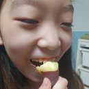 아어가지 이미지