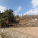 창녕농장 이미지