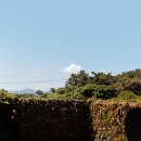 보스케 (Bosque) 이미지