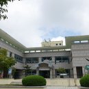양지-19 이미지
