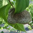 동우행정사합동사무소 이미지