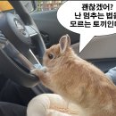 강남 운전면허 2종보통 장내기능시험 독학 100점 합격 후기 + 꿀팁 영상 추천